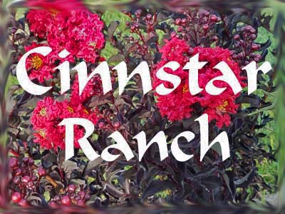 About Cinnstar Ranch
